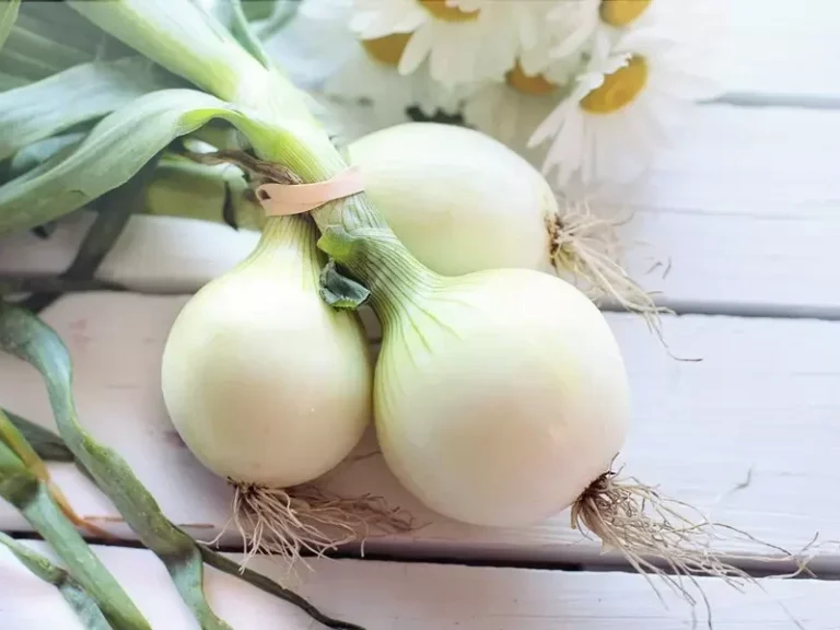 Do Onions Help With Pepper Spray?