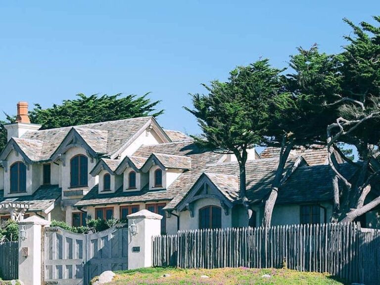 Can I Throw Neighborâs Tree Branches Back In Their Yard