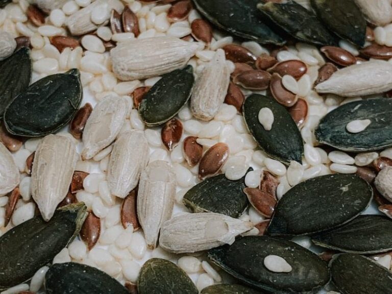 Can You Eat Sunflower Seed Shells