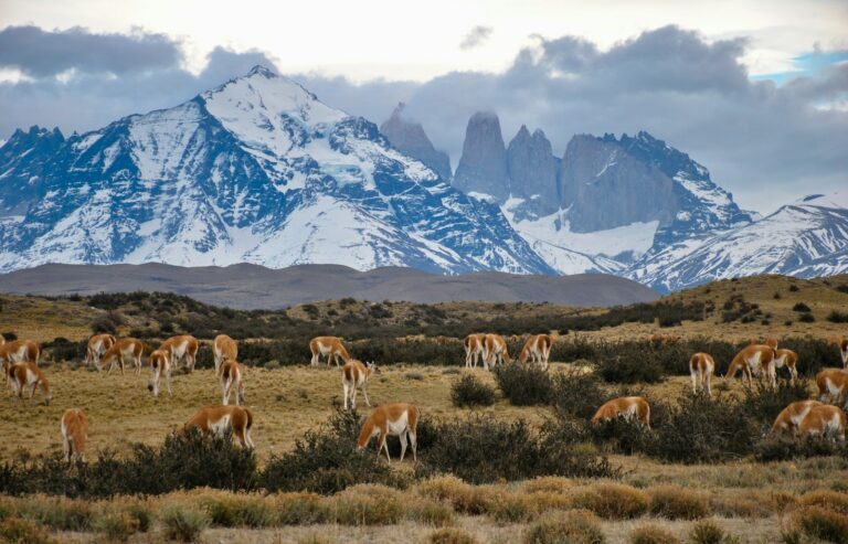 The 10 Best Resorts In Chile: A Guide To The Country’s Top Vacation Spots