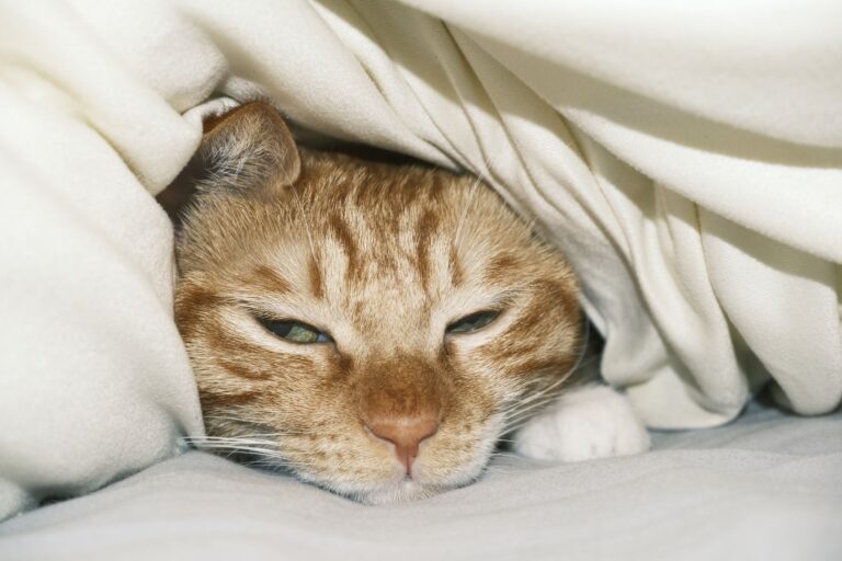 How Mucinex Can Make You Sleepy