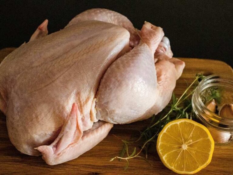 Does All Chicken Have Salmonella