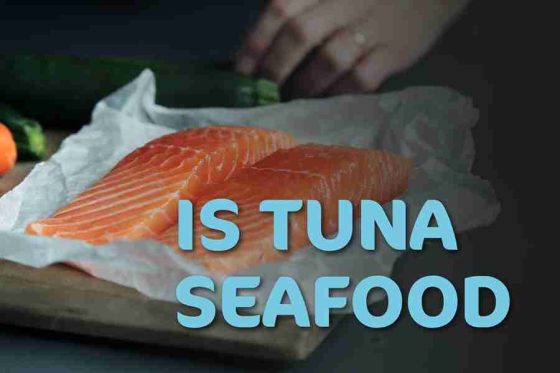 Is Tuna A Seafood