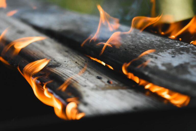 Is Fire Living Or Nonliving