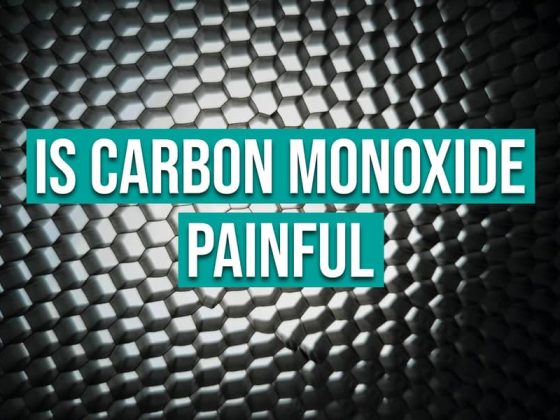 Is carbon monoxide painful