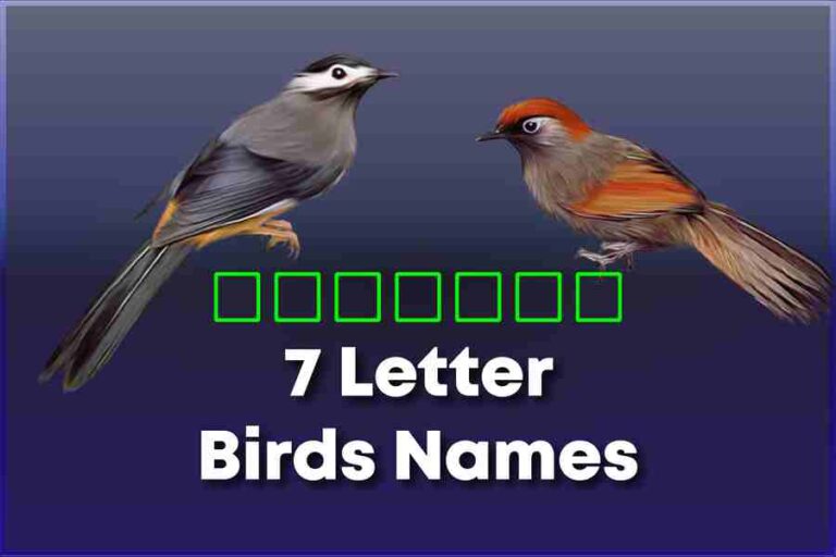 Letter Birds Names