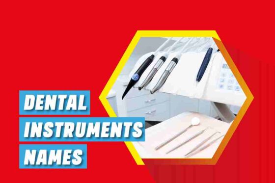 Dental Instruments Names