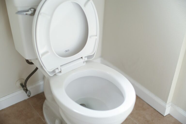 Can You Use Drano In A Toilet