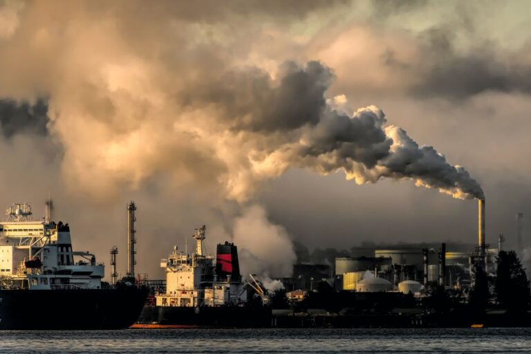 Mitigating Carbon Footprints: The Strategic Role Of Carbon Credits In Business Sustainability