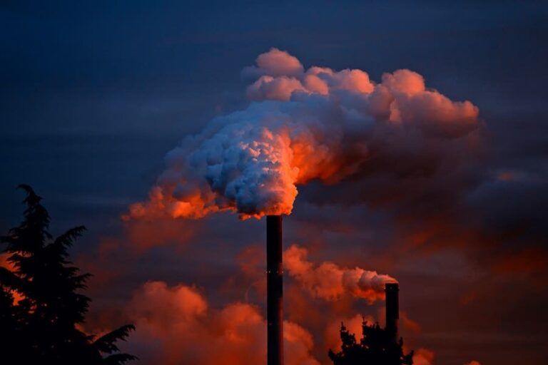 Pollution Is Killing Millions Across The Planet, Experts Warn