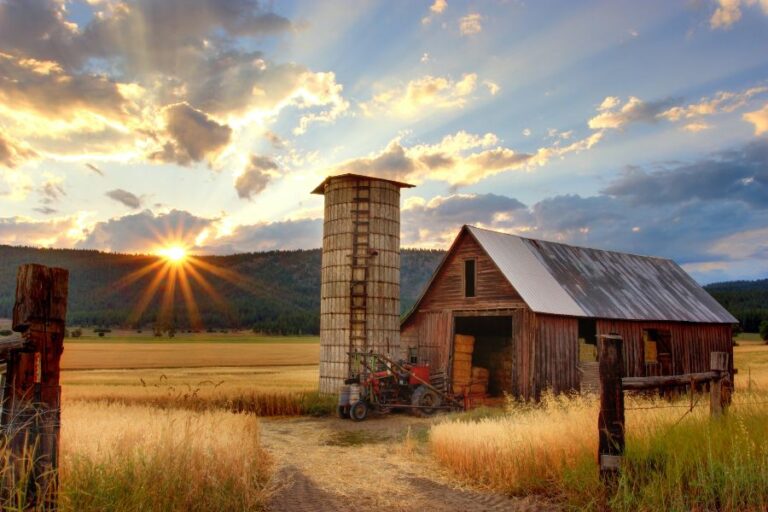 Improving The Outdoor Venue Aspects Of Your Arkansas Farm