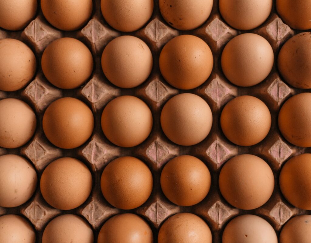 Do Eggs Have Collagen