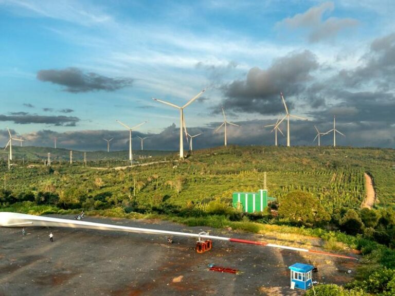 The Price Of Power: Steps Needed To Unveil The Competitive Landscape In Business Energy