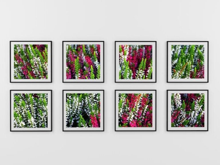 Can You Put Wallpaper Over Wallpaper? A Comprehensive Guide